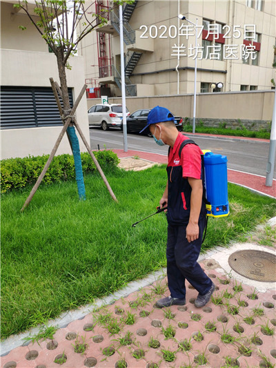 延庆城区周边有害生物防治400-030-9251维诺康杀虫灭白蚁蚂蚁