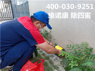 西城菜市口专业灭蚊蝇公司400-030-9251维诺康幼儿园早教学校培训机构除虫灭鼠