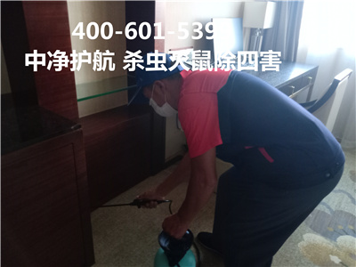 西城牛街三里河控虫防治公司400-030-9251维诺康家庭写字楼工厂灭蚊蝇杀蟑除鼠