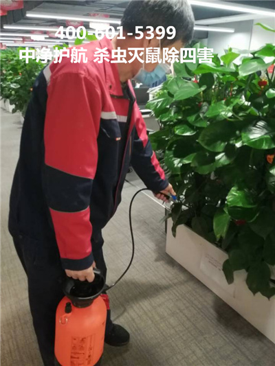 海淀万寿寺专业灭苍蝇除四害400-030-9251维诺康北京虫害防治公司