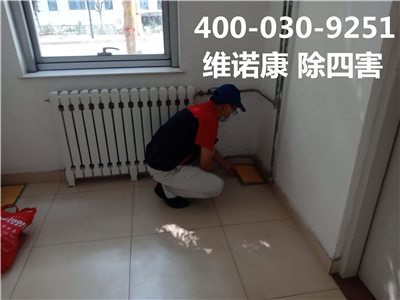 石景山玉泉路专业除虫消杀服务机构电话400-030-9251维诺康杀虫灭鼠除四害公司
