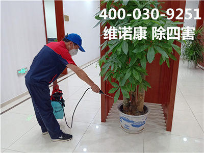 密云周边专业杀虫消毒公司400-030-9251维诺康上门灭蚊蝇灭蚂蚁白蚁