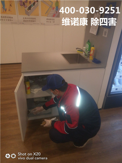 西城广安门外灭四害公司400-030-9251维诺康宾馆酒店灭蟑螂蚊蝇