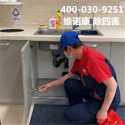 西城西直门外专业灭蟑螂杀虫公司400-030-9251维诺康