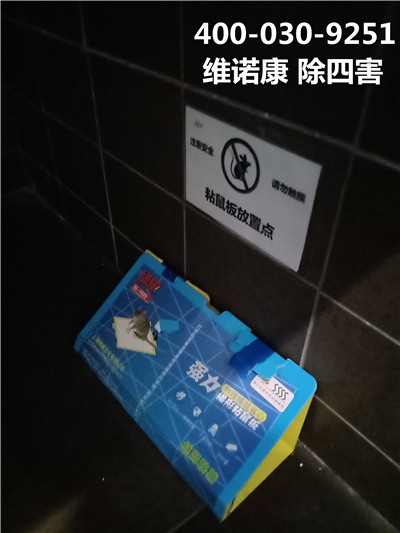 西城珠市口上门灭鼠公司联系方式400-030-9251维诺康除四害灭蚊蝇