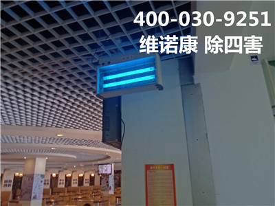 东城崇文门控虫防治公司400-030-9251维诺康专业灭蚊蝇杀蟑灭鼠