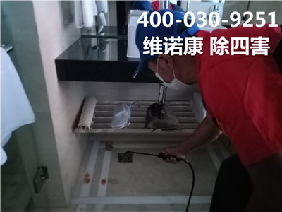 房山区灭蟑螂公司电话400-030-9251北京维诺康专业灭蚊蝇