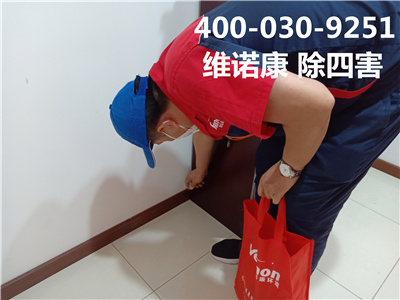 大兴同兴园专业灭鼠灭蟑螂400-030-9251维诺康北京专业杀虫