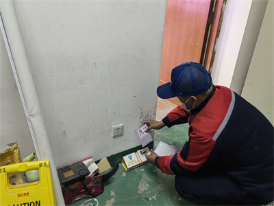 平谷区快速上门灭鼠公司400-030-9251维诺康北京专业消杀灭鼠