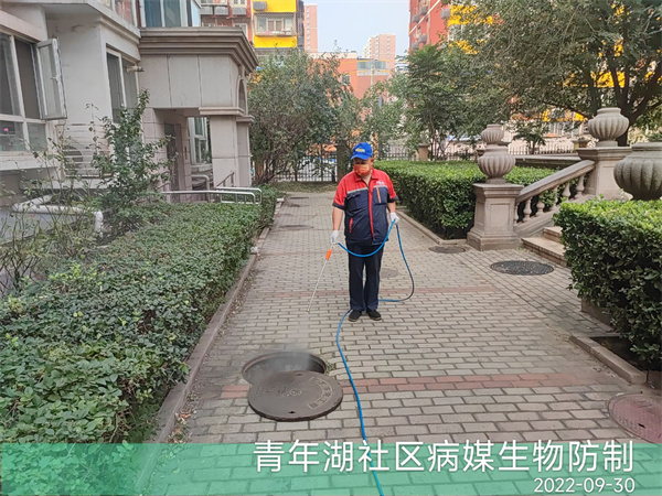 朝阳区快速上门除四害400-030-9251北京维诺康灭鼠灭蟑螂