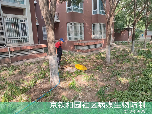 怀柔区灭鼠公司怎么联系400-030-9251维诺康专业杀蟑除虫灭鼠