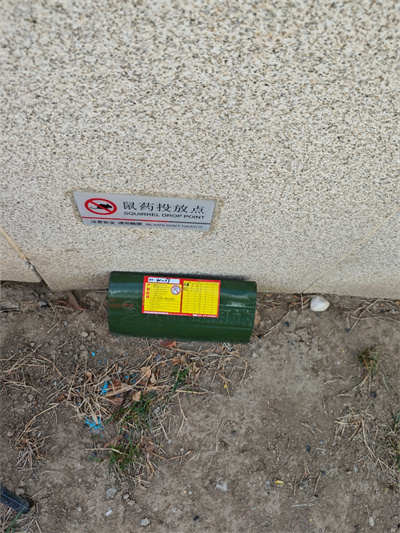 如何选择适合的灭鼠剂