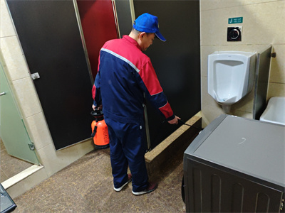 除四害公司是如何灭蟑螂的