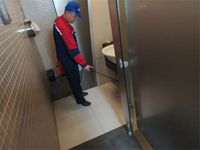 家庭如何预防白蚁