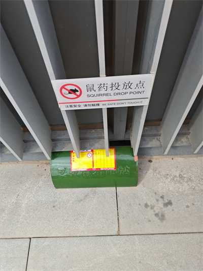 养猫可以防鼠灭鼠吗？