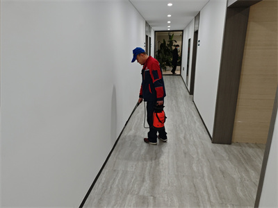 幼蚊防治环境治理方法