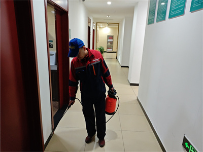 北京杀蟑螂灭鼠维诺康专业PCO公司