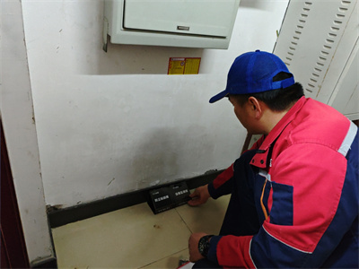 北京家庭灭蟑螂灭老鼠维诺康杀虫除四害